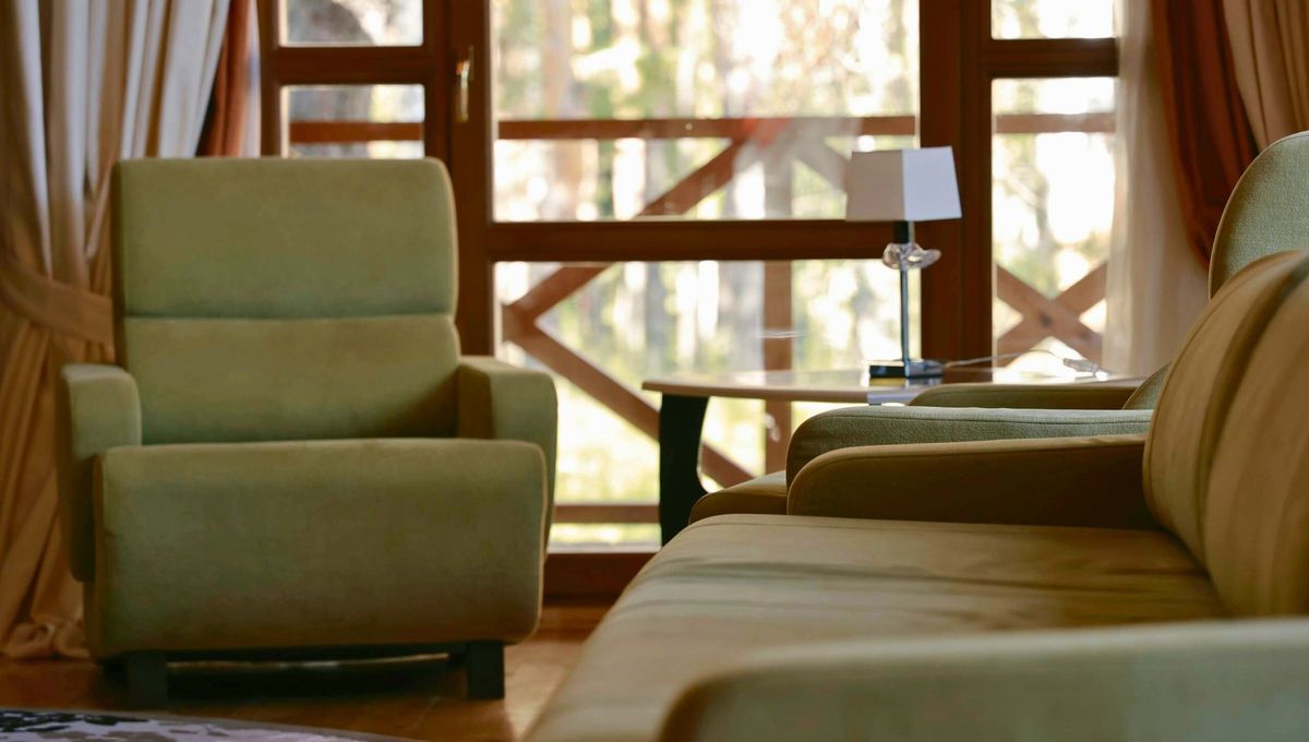 Cómo eliminar el olor a viejo del sillón con un efectivo truco casero