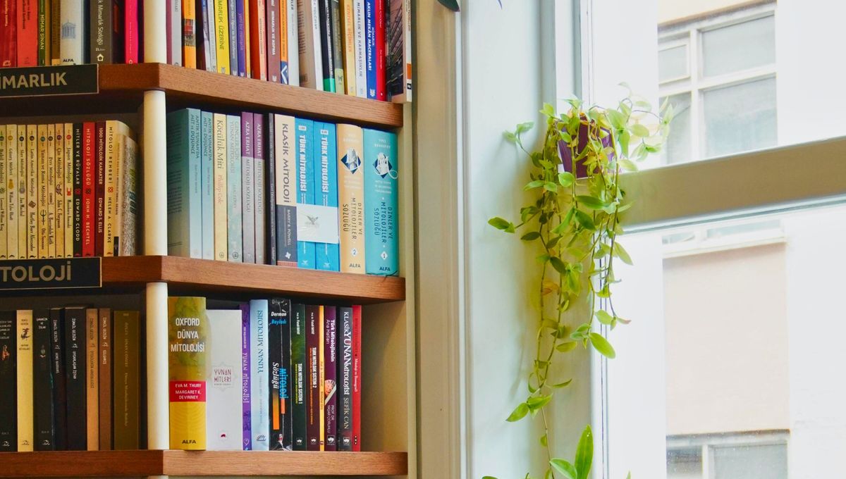 Teniendo en cuenta los pros y contras, puedes corroborar si el potus se adapta a tu casa. Teniendo en cuenta los pros y contras, puedes corroborar si el potus se adapta a tu casa. 