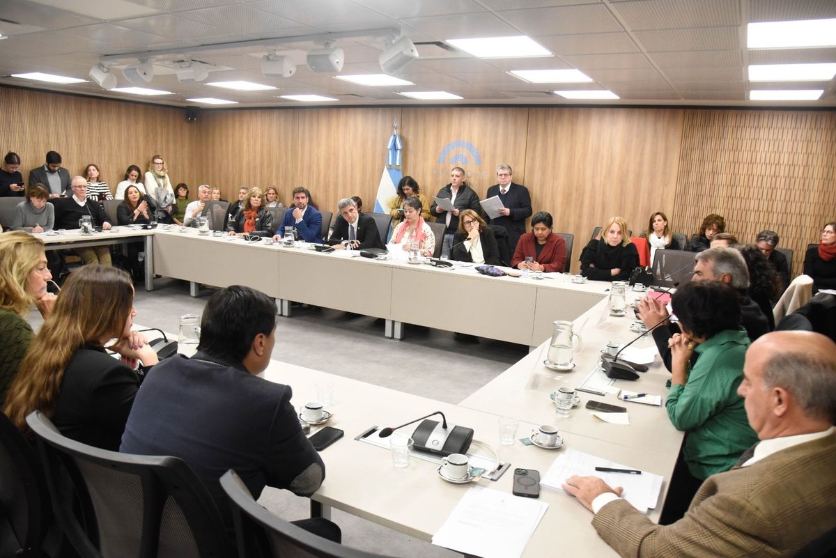 El debate en comisiones de la Cámara de Diputados de la Nación. El debate en comisiones de la Cámara de Diputados de la Nación.