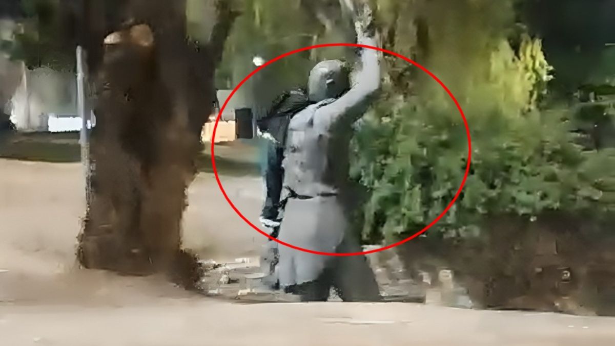 El llamativo hecho ocurrió en la plaza Almirante Brown, detrás del Hospital Central, en Capital.