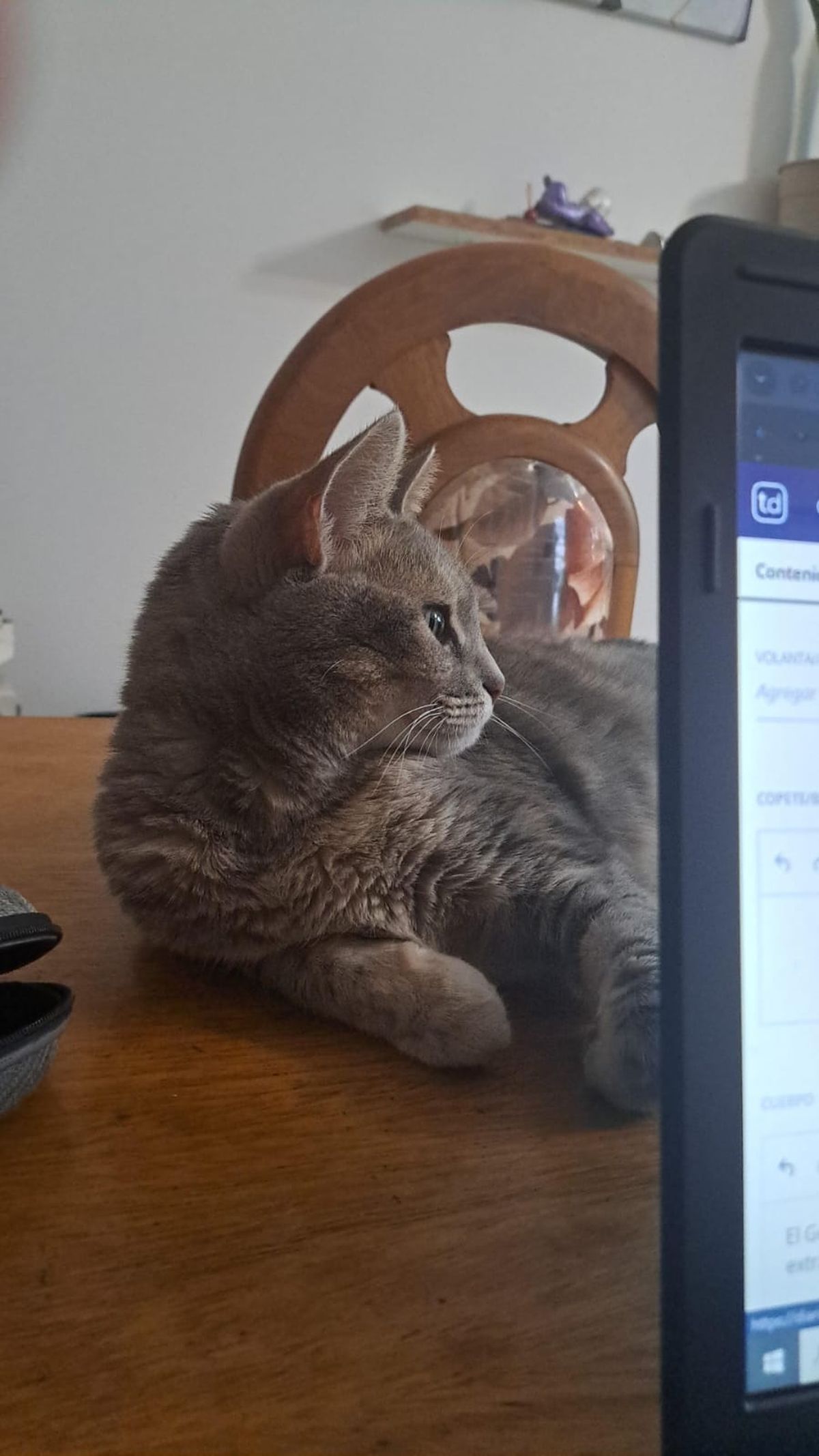 Olivia o La Reina del Nilo. Olivia o La Reina del Nilo.