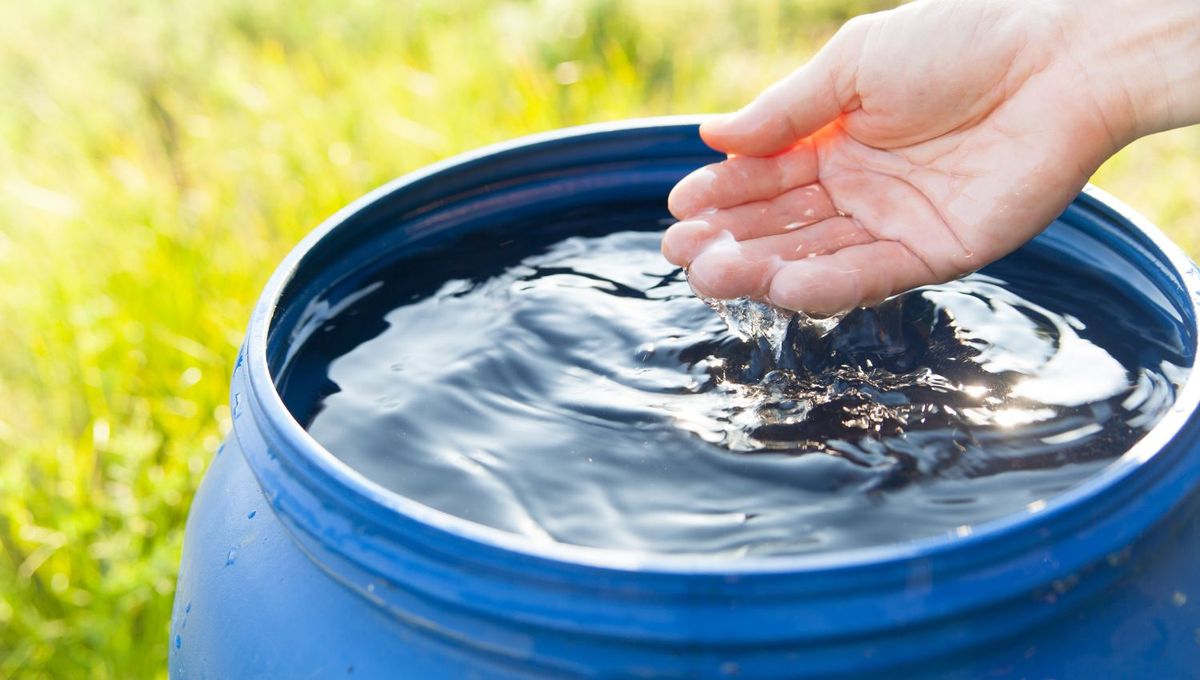 Agua de lluvia. Agua de lluvia. 