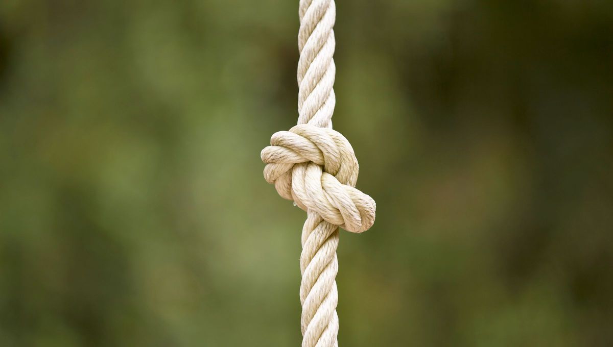 No pierdas tiempo tratando de desatar nudos imposibles. No pierdas tiempo tratando de desatar nudos imposibles.