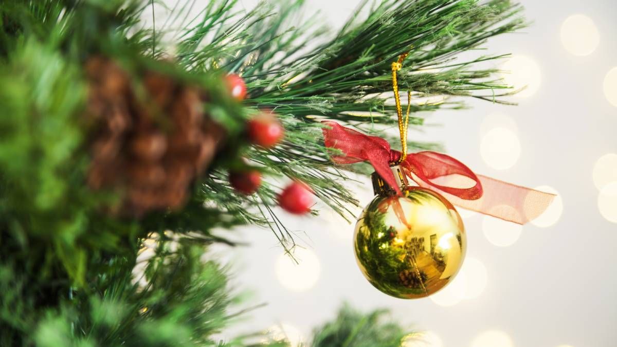 El árbol de Navidad puede dejar de existir como se lo conoce. El árbol de Navidad puede dejar de existir como se lo conoce. 