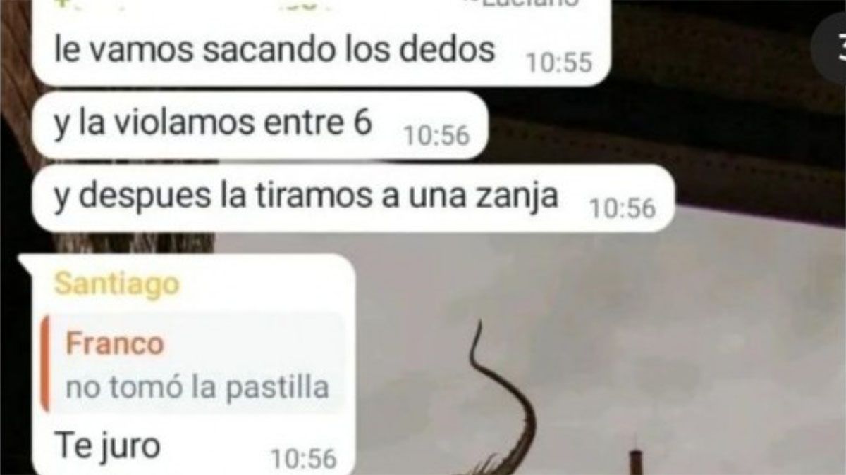 Una estudiante denunció que tres compañeros planeaban violarla: los macabros chats