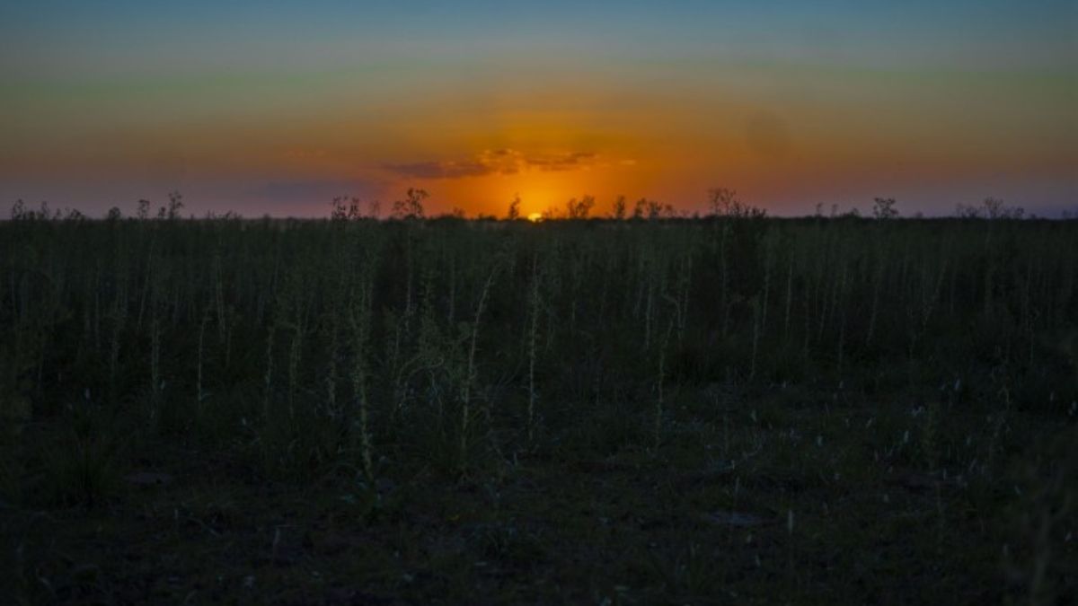 Entre Ríos es una provincia con gran producción agrícola. (Foto: Julieta Bugacoff) Entre Ríos es una provincia con gran producción agrícola. (Foto: Julieta Bugacoff)