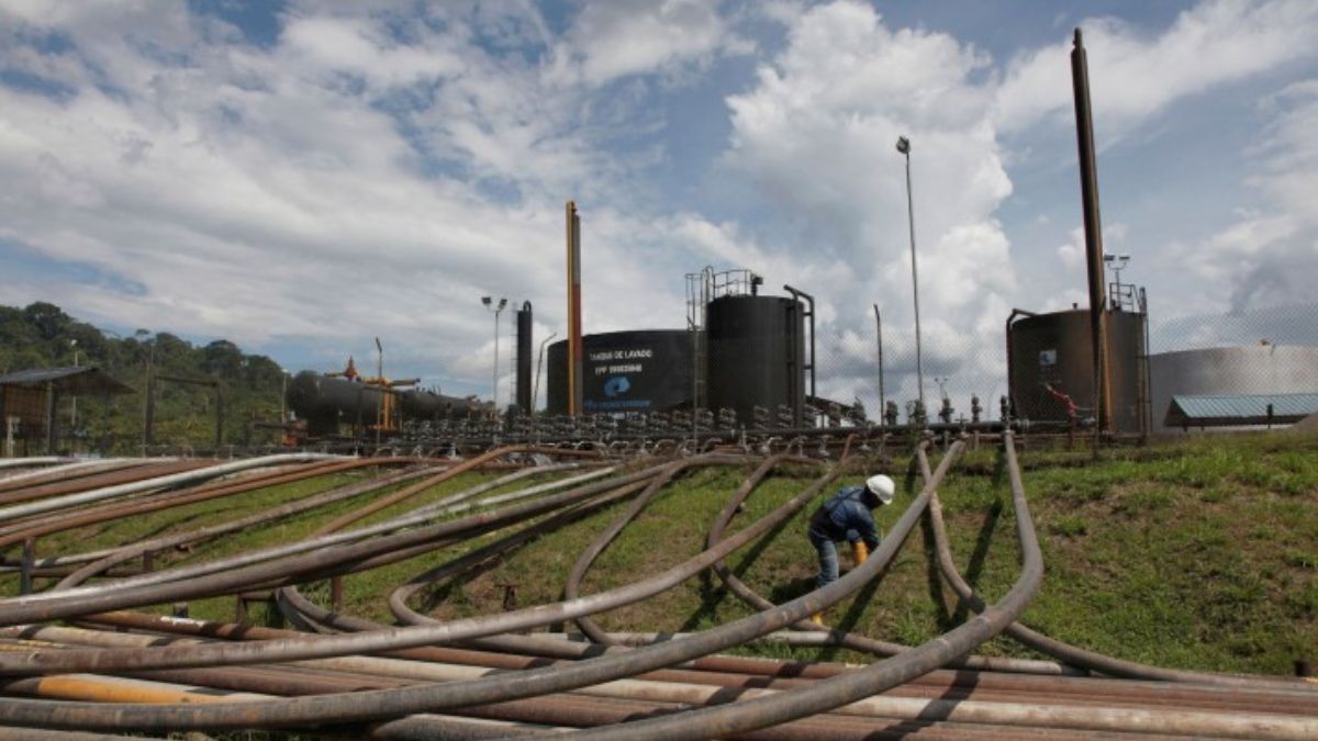 Un proyecto petrolero en el Parque Nacional Yasuní. La extracción en el Bloque 43 comenzó en 2016 (Foto: Julio Etchart / Alamy) Un proyecto petrolero en el Parque Nacional Yasuní. La extracción en el Bloque 43 comenzó en 2016 (Foto: Julio Etchart / Alamy)