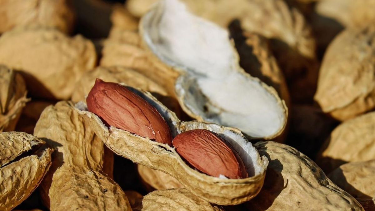 El abono de cáscaras de maní aporta los nutrientes necesarios para las plantas. El abono de cáscaras de maní aporta los nutrientes necesarios para las plantas.