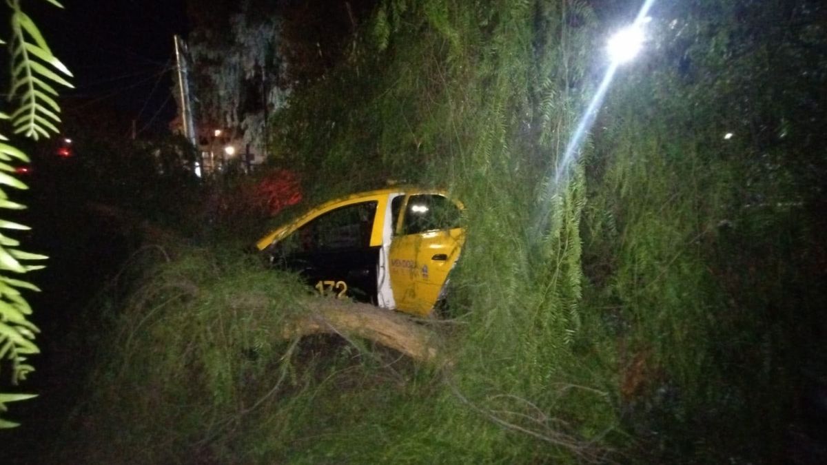 El taxi quedó completamente bajo la rama que se desprendió en la terminal de ómnibus de Guaymallén. El taxi quedó completamente bajo la rama que se desprendió en la terminal de ómnibus de Guaymallén.