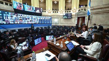 Impuesto a la riqueza: el Senado lo convirtió en ley con el rechazo de Juntos por el Cambio