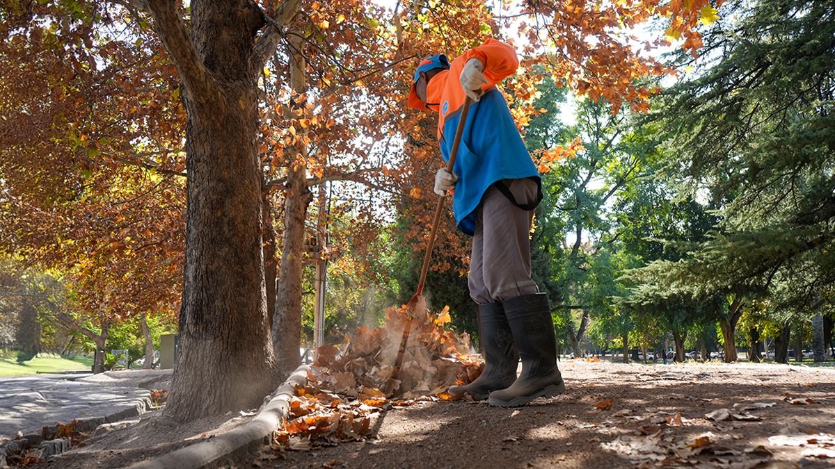 Mientras el sábado puede haber heladas en Mendoza, el clima continuará siendo agradable el domingo. Mientras el sábado puede haber heladas en Mendoza, el clima continuará siendo agradable el domingo.