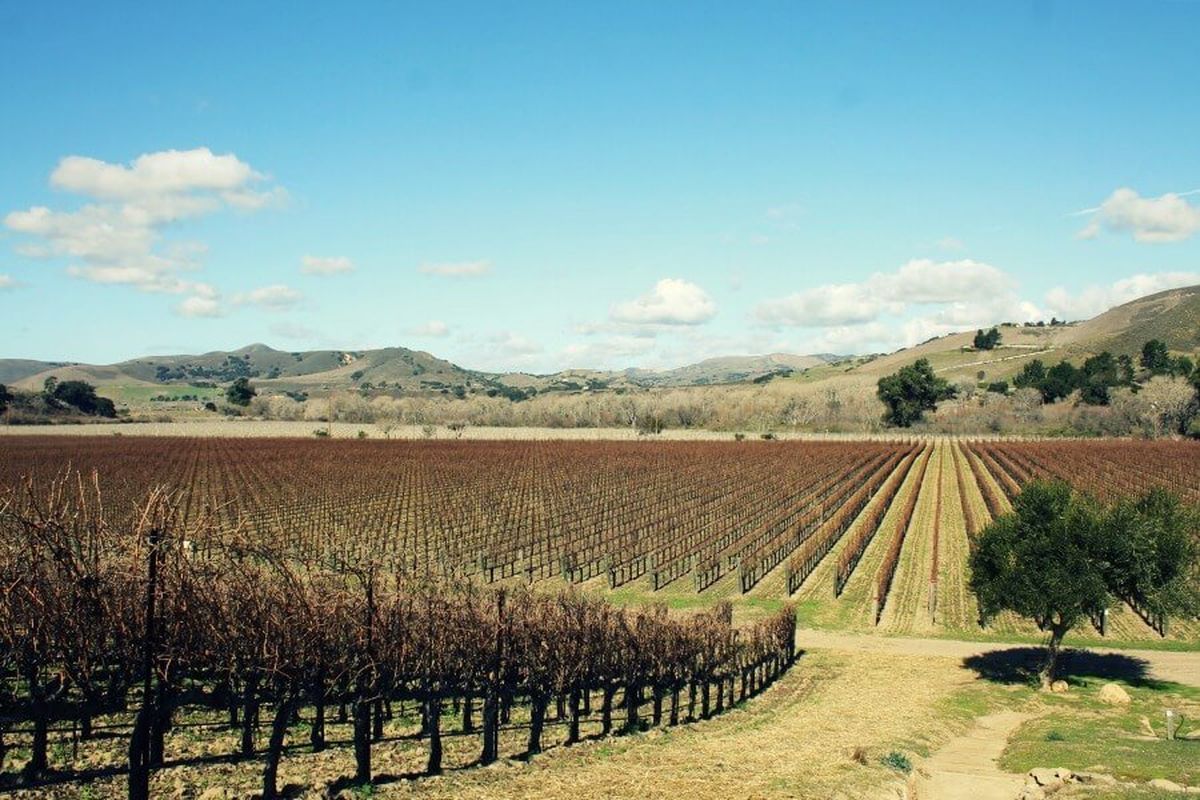 Los viñedos de Santa Bárbara son uno de los lugares más elegidos por el turismo internacional Los viñedos de Santa Bárbara son uno de los lugares más elegidos por el turismo internacional