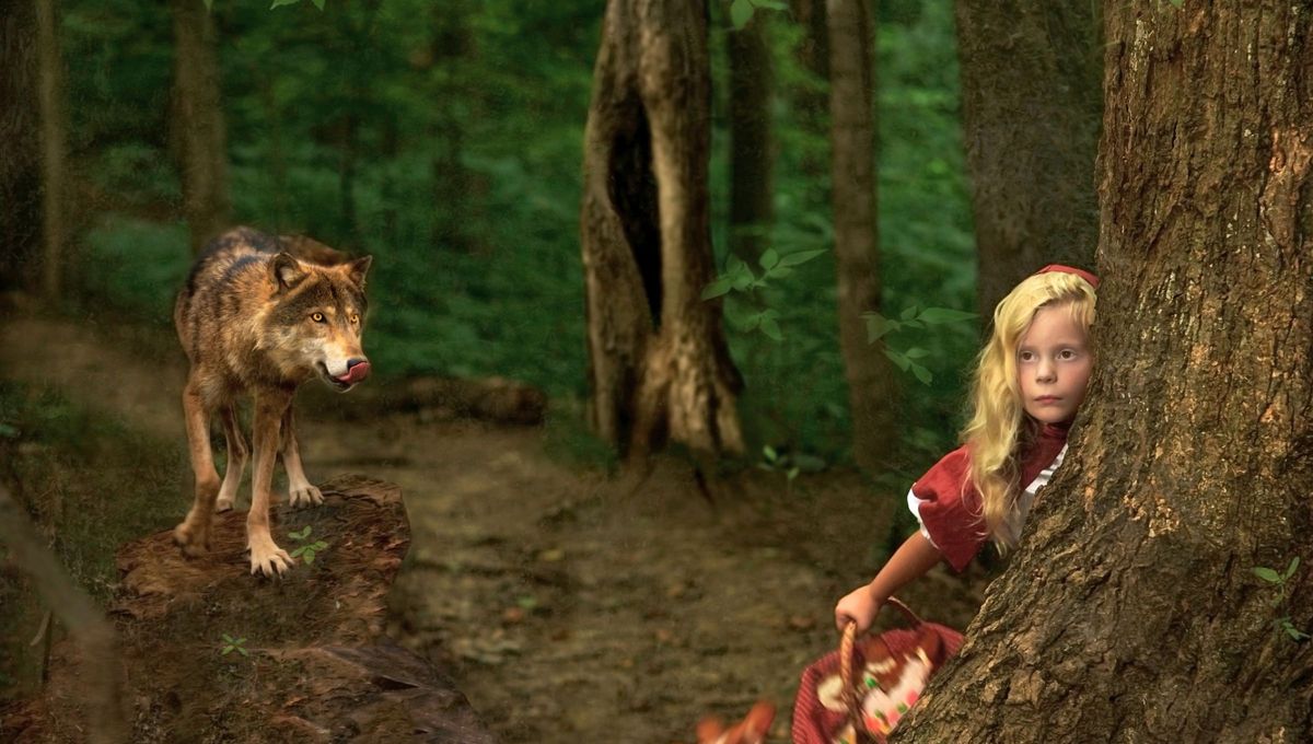 La historia real del clásico cuento de la Caperucita: con 11 años fue devorada por un lobo en medio del bosque