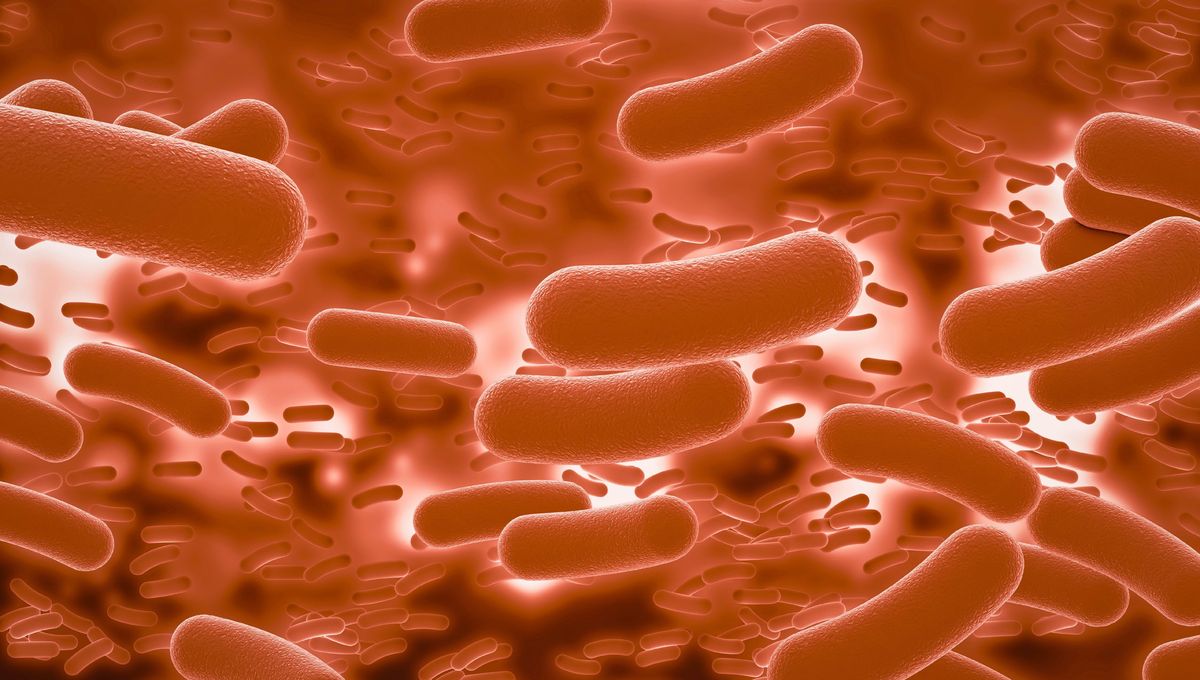 Esta bacteria produce náuseas, diarrea y problemas digestivos en general. Esta bacteria produce náuseas, diarrea y problemas digestivos en general. 