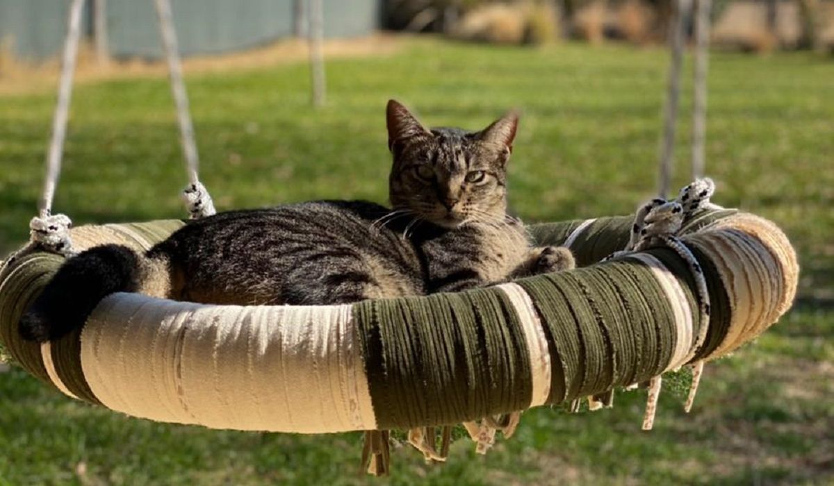 Los columpios tienen un 80% de materiales recuperados. Los columpios tienen un 80% de materiales recuperados.