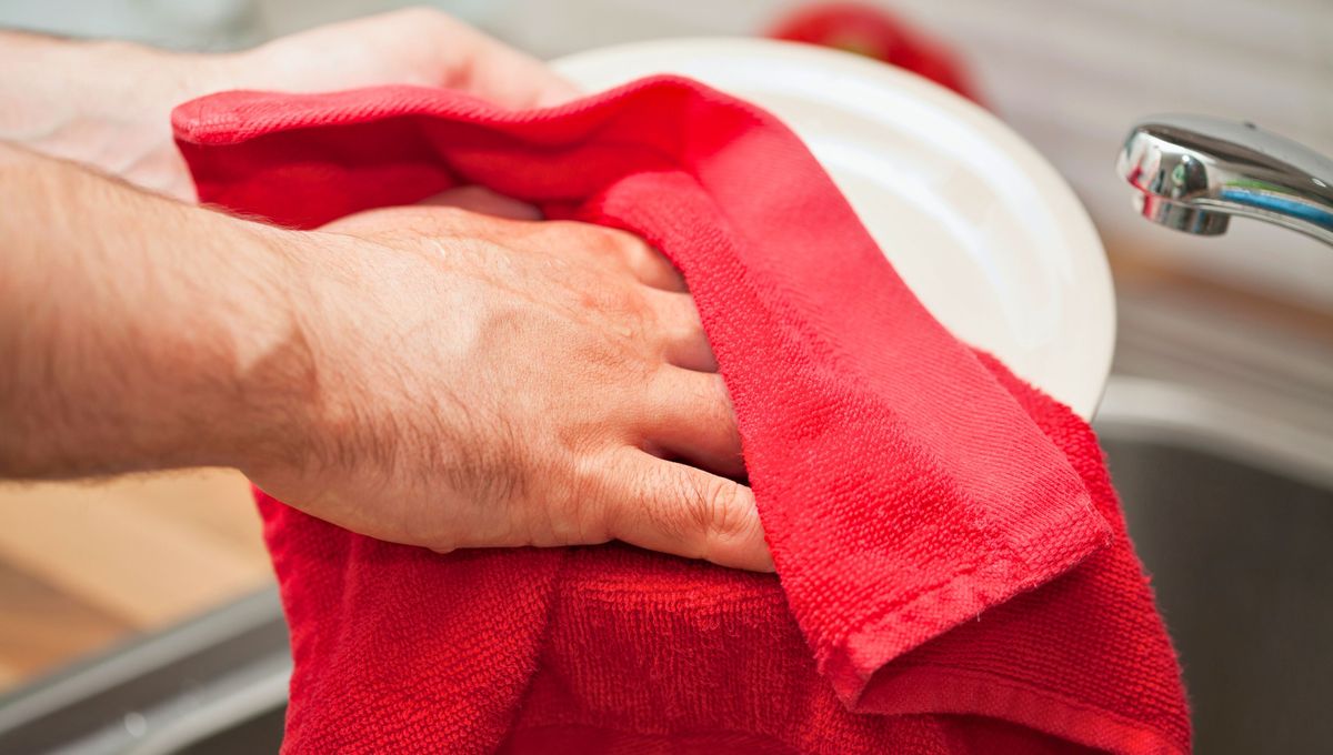 Limpia y desinfecta los trapos de cocina semanalmente. Limpia y desinfecta los trapos de cocina semanalmente. 