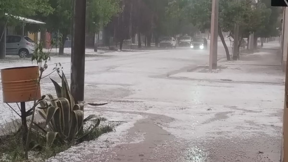 El granizo que cayó en el Valle de Uco fue de tamaño chico a mediano. Afectó al ajo