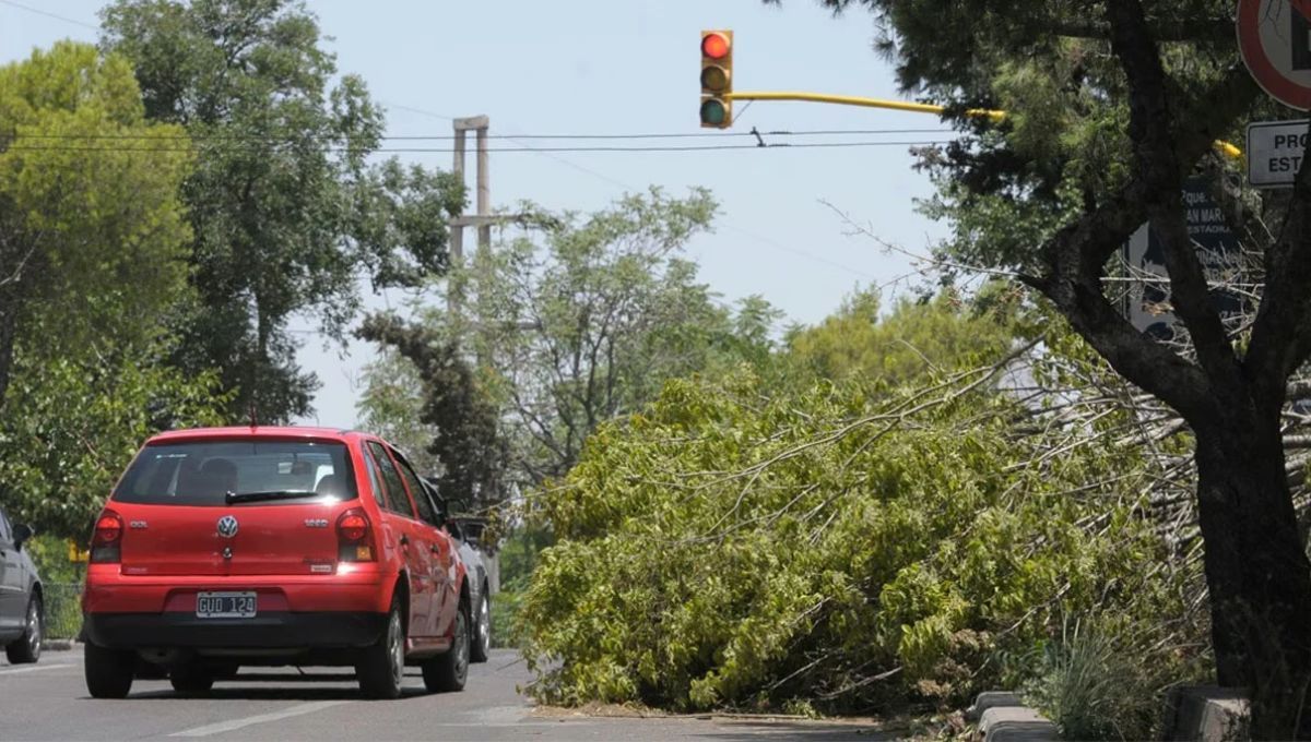 A qué hora llega el viento Zonda a cada departamento de Mendoza: se espera un fenómeno con capacidad de daño