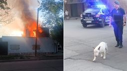 Un incendio consumió por completo una casa de Las Heras. Sus ocupantes no estaban y los vecinos salvaron a Rolo, el perro de la familia. Foto: Matías Pascualetti/ Radio Nihuil