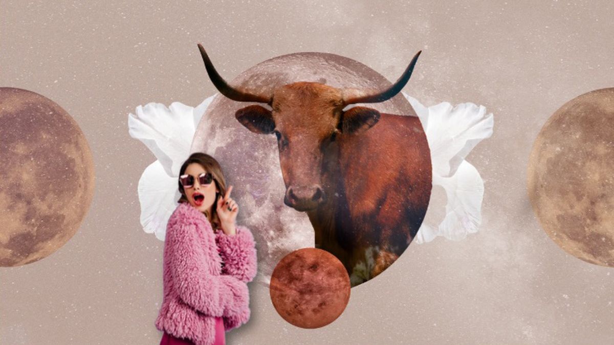 Luna en Tauro: las predicciones astrológicas para los 12 signos del zodiaco. Luna en Tauro: las predicciones astrológicas para los 12 signos del zodiaco.