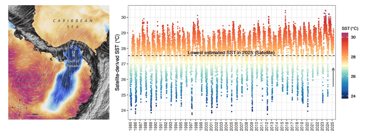 Las temperaturas estuvieron en observación atenta. Las temperaturas estuvieron en observación atenta.