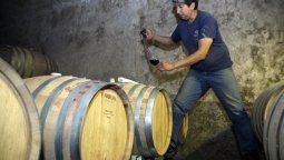 La industria del vino sufre la baja del consumo