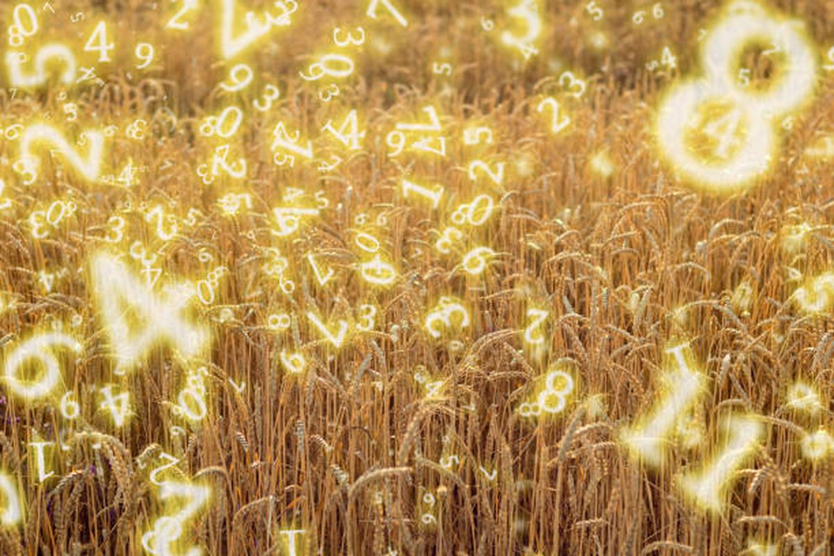 Estos son los n&uacute;meros de la suerte para hoy.