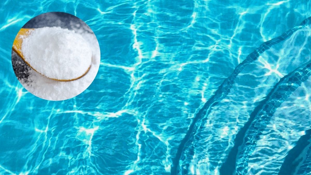 Ni cloro, ni sal: cómo hacer que el agua de tu pileta se vea cristalina usando bicarbonato