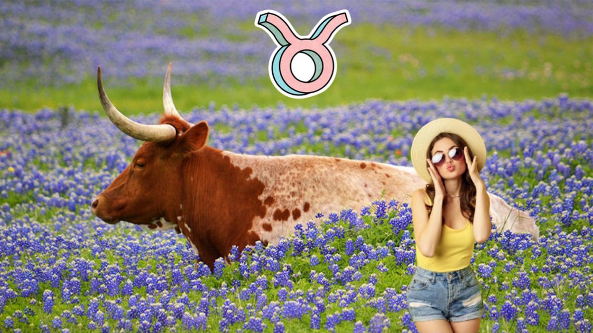 Astrología: los 5 signos que brillarán con el ingreso de la Luna en Tauro. Astrología: los 5 signos que brillarán con el ingreso de la Luna en Tauro.