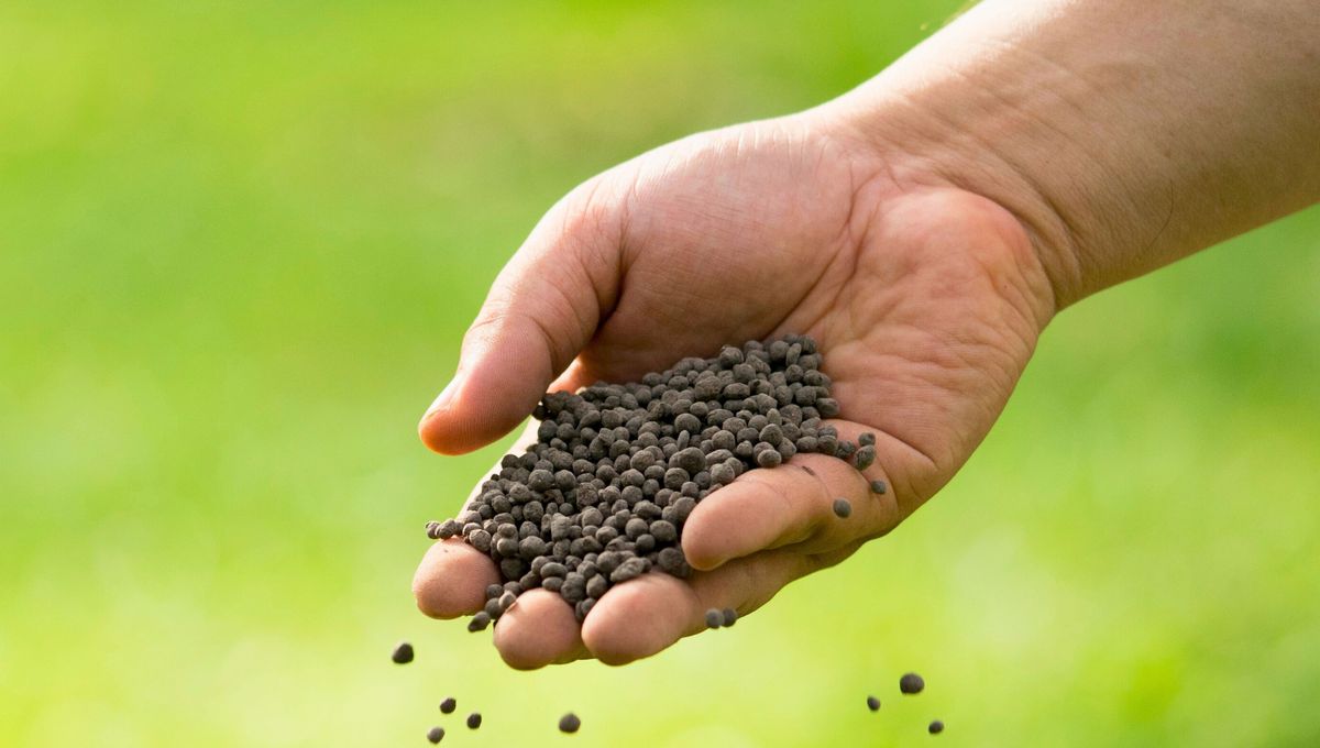 El riego, el abono, el sol y la maceta son elementos claves en el cuidado de plantas. El riego, el abono, el sol y la maceta son elementos claves en el cuidado de plantas. 