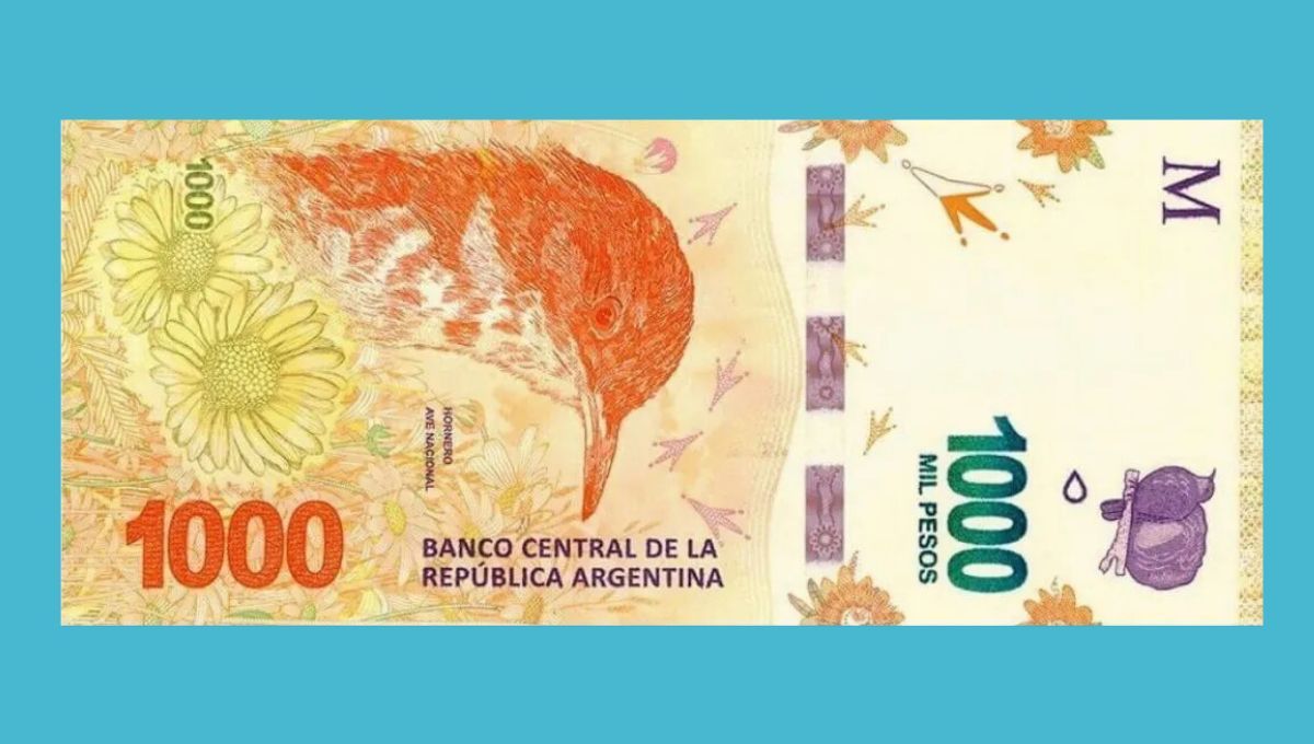 Cómo es el billete de $1.000 que vale $30.000.000