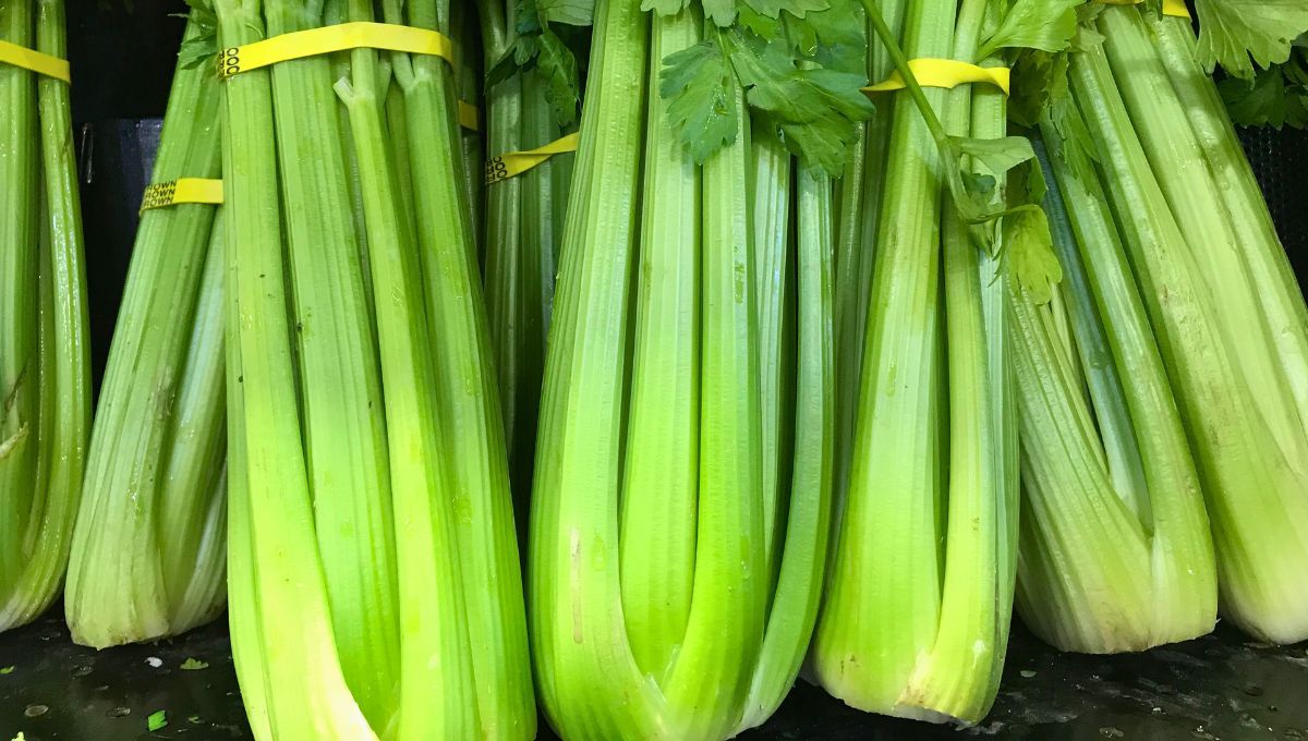 Los tallos del apio pueden tener una "segunda vida" despu&eacute;s de cocinarlos.