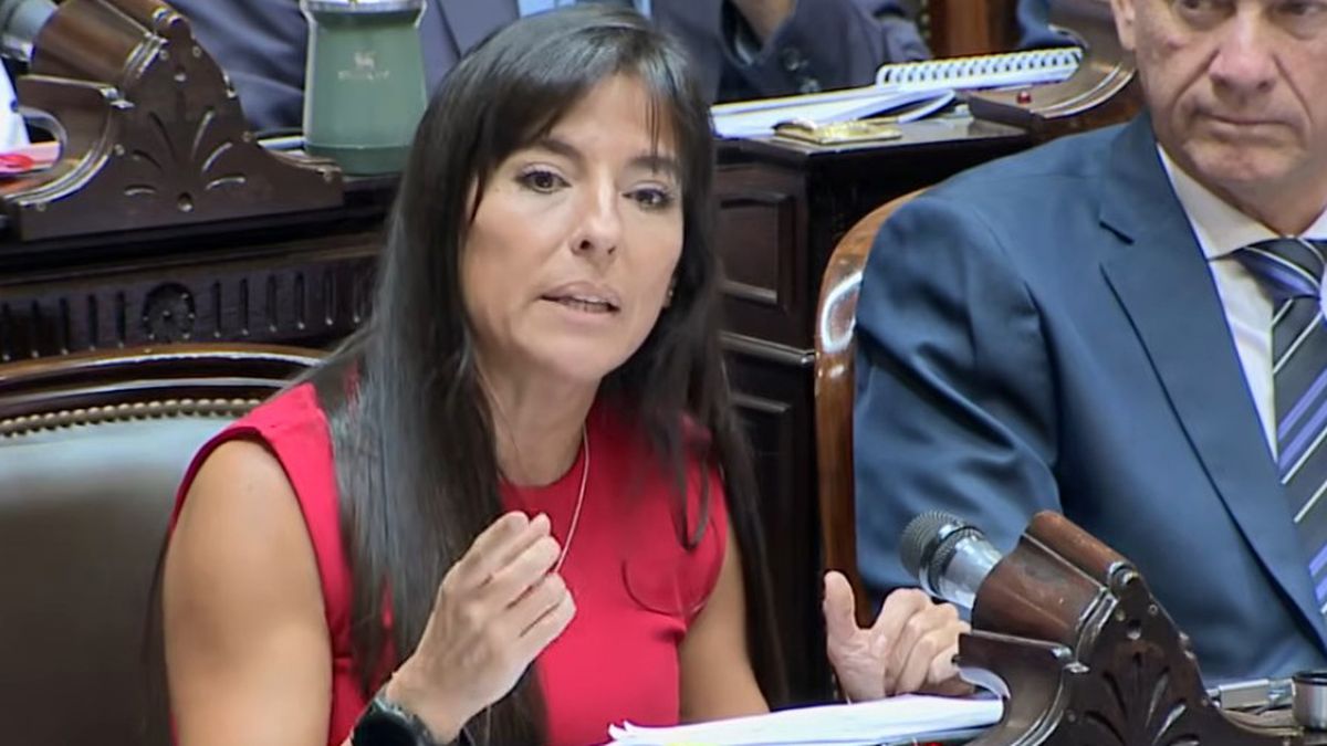 Pamela Verasay, presidenta del bloque de diputados nacionales de la Unión Cívica Radical. Pamela Verasay, presidenta del bloque de diputados nacionales de la Unión Cívica Radical.