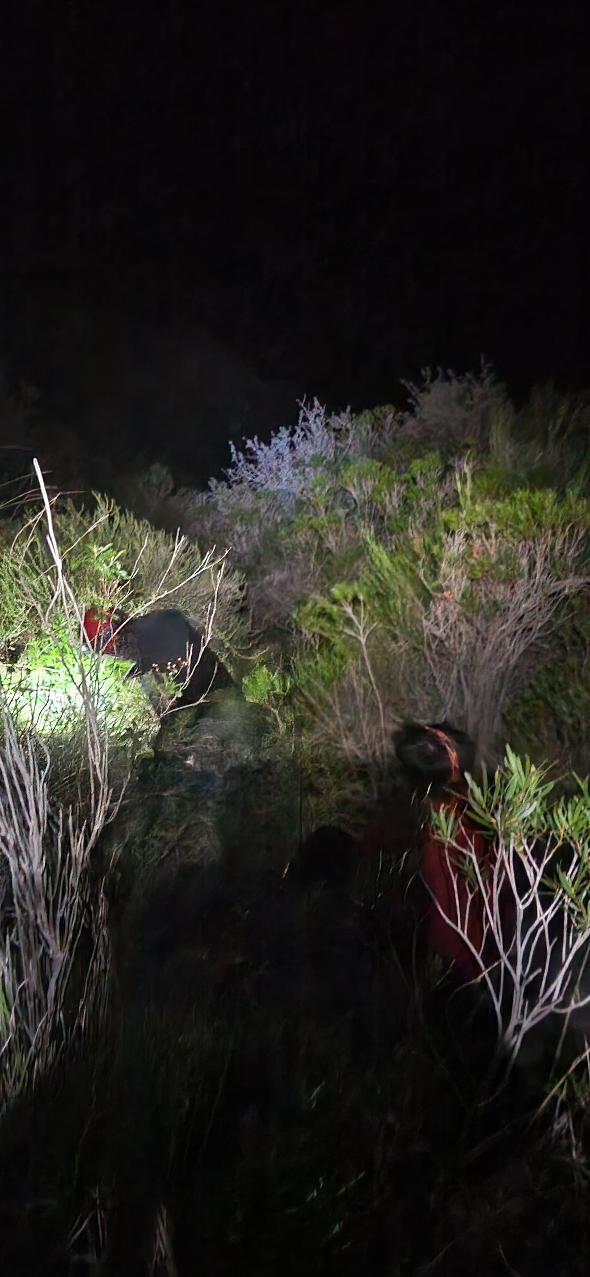 La Patrulla de Rescate debió trabajar en horas de la noche. La Patrulla de Rescate debió trabajar en horas de la noche.
