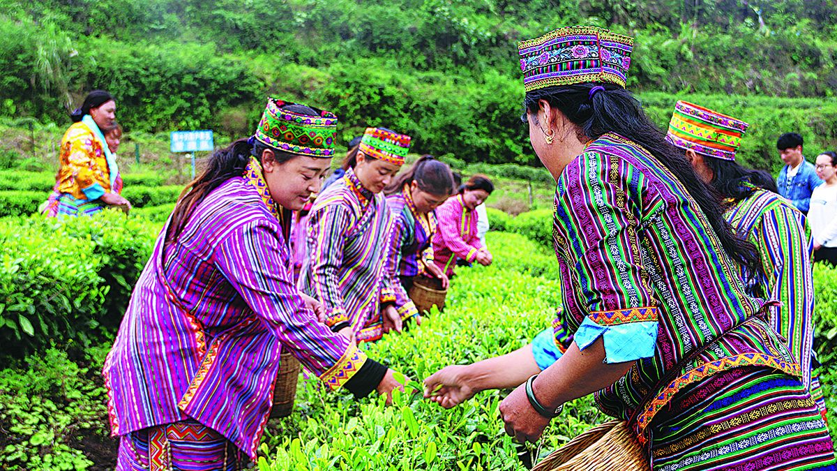Los campesinos recogen hojas de té en una plantación en Metog
