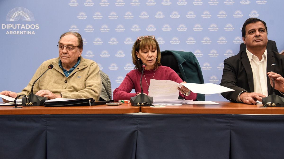 Las comisiones de Finanzas y la de Presupuesto y Hacienda están presididas por los diputados Alicia Aparicio y Carlos Heller