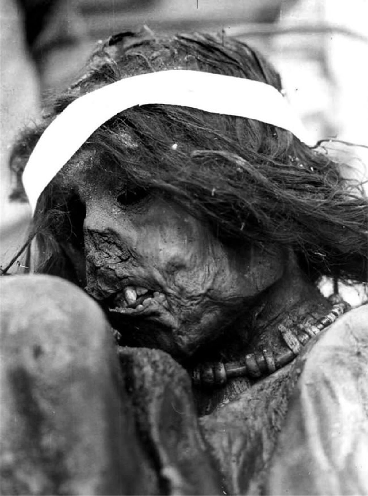 El cuerpo del niño sacrificado en el año 1500 está conservado en el Centro Científico Tecnológico, en el Instituto de Ciencias Humanas, Sociales y Ambientales (Incihusa), del Conicet. El cuerpo del niño sacrificado en el año 1500 está conservado en el Centro Científico Tecnológico, en el Instituto de Ciencias Humanas, Sociales y Ambientales (Incihusa), del Conicet.