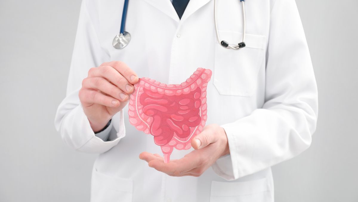Cómo evitar la parasitosis intestinal