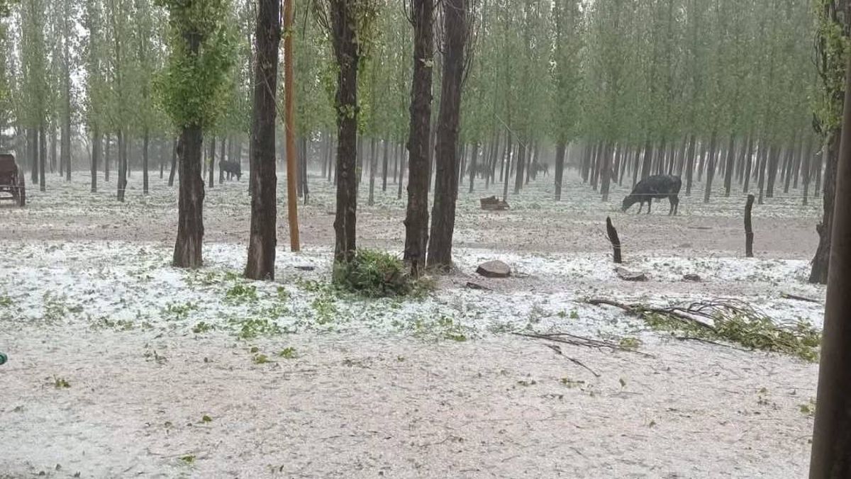 El granizo afectó sobre todo a los distritos de Bowen y Carmensa