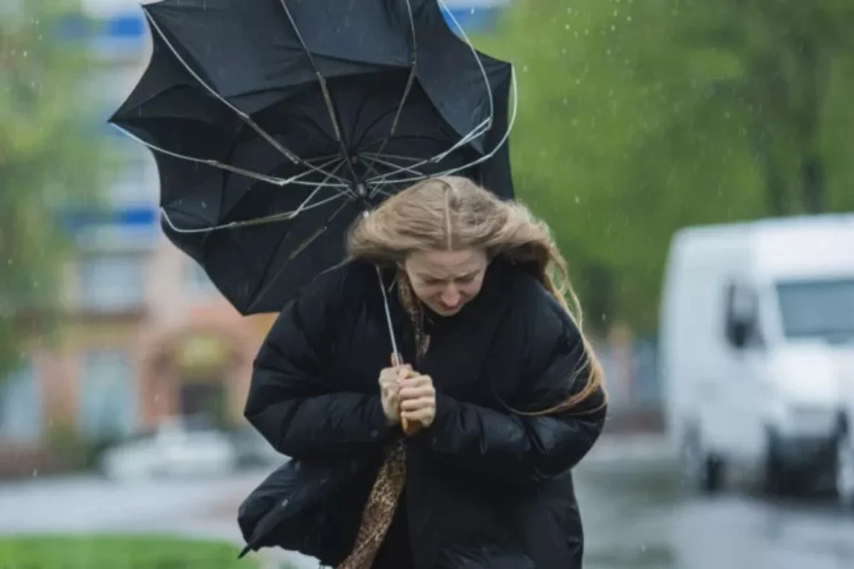Toma las medidas necesarias para cuidarte de los fuertes vientos. Toma las medidas necesarias para cuidarte de los fuertes vientos.