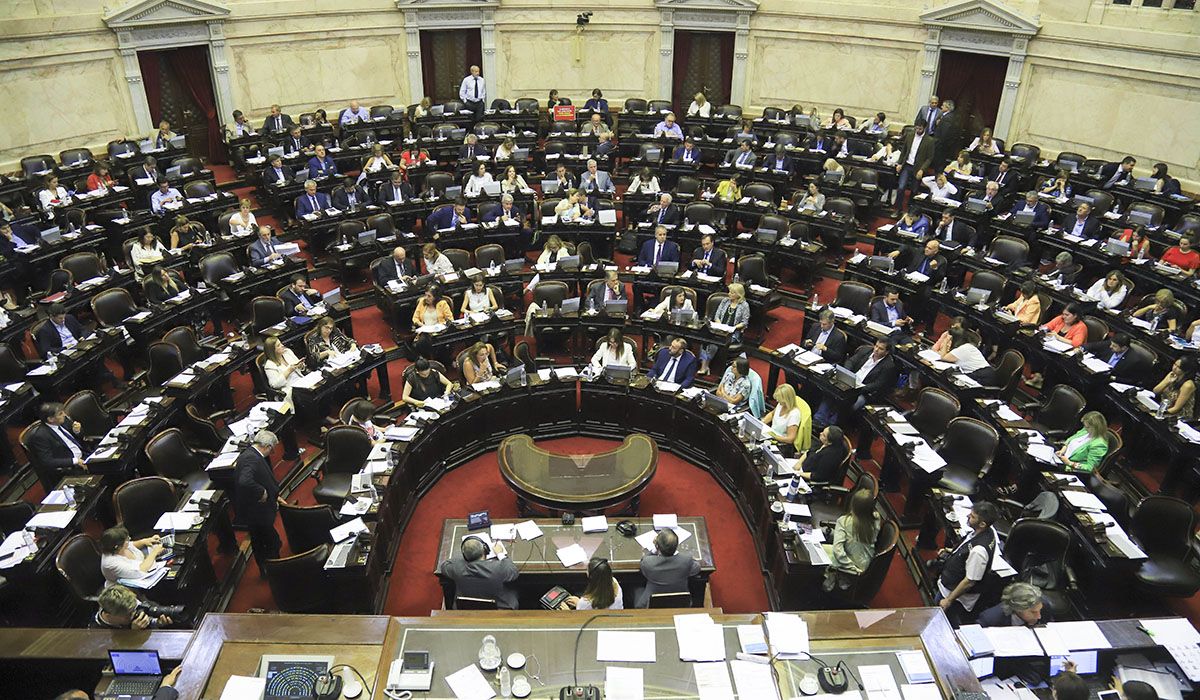 El Congreso de la Nación tiene sesiones extraordinarias hasta el 31 de enero. Según los radicales, en tiempo no es suficiente para emitir un dictamen sobre la Ley Ómnibus.