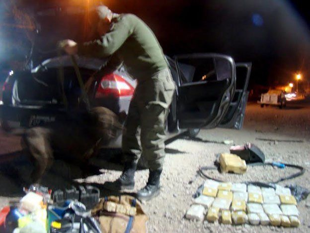 Detuvieron a un hombre en Punta de Vacas con 14 kilos de marihuana