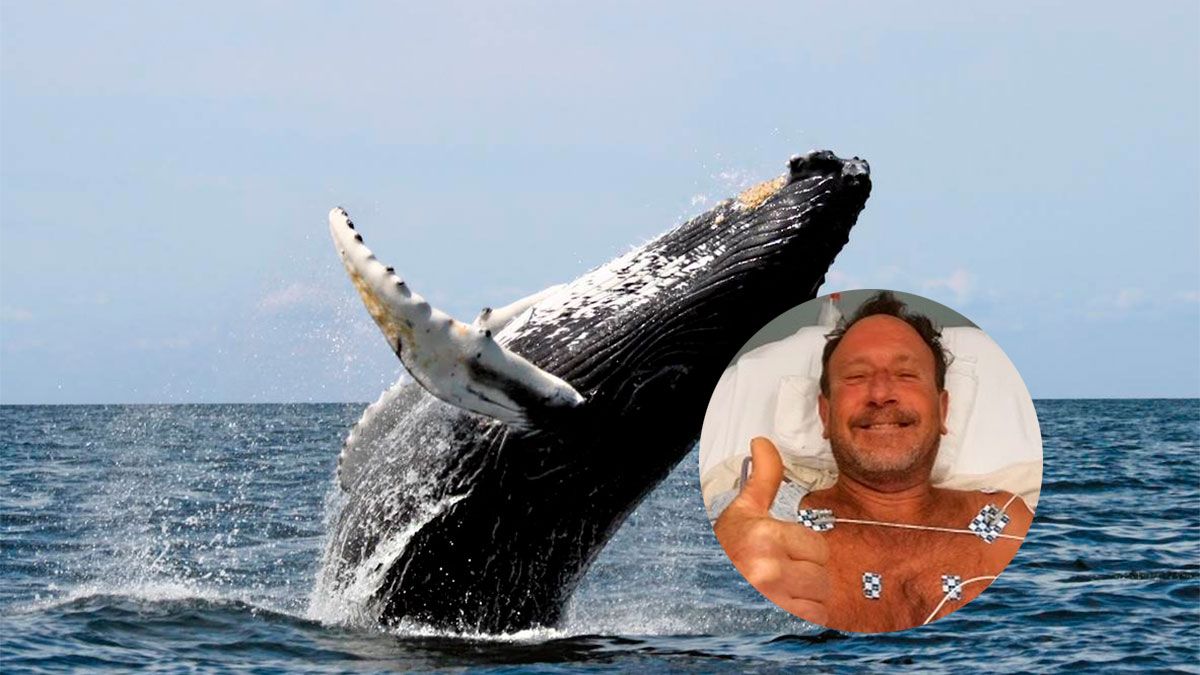 Una ballena se tragó a un hombre y luego lo escupió vivo