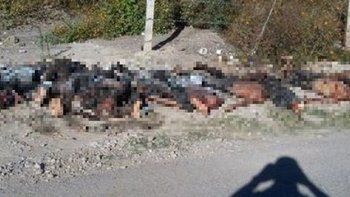 Macabro hallazgo en México: encontraron 11 cuerpos parcialmente quemados y decapitados