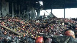 El Gobierno y el Frigorífico Tunuyán evaluaron las pérdidas y soluciones