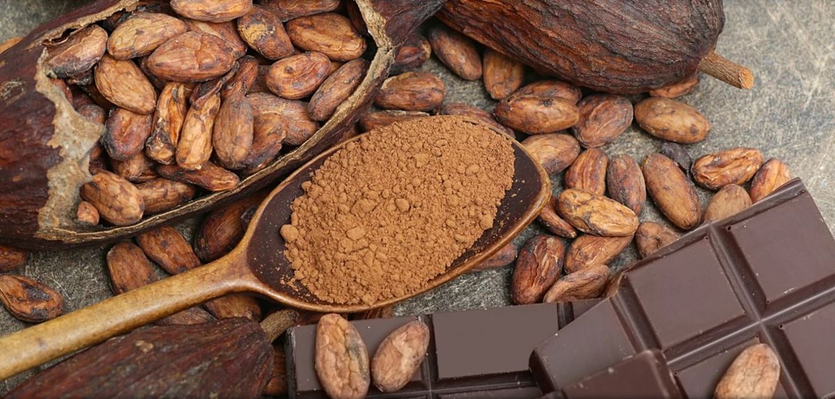 Superalimentos. Este superalimento levantará tu ánimo. Superalimentos. Este superalimento levantará tu ánimo.