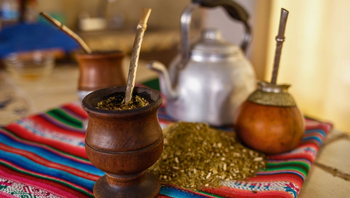 Los argentinos consumimos alrededor de 6 kilos y medio de yerba mate al año por persona Los argentinos consumimos alrededor de 6 kilos y medio de yerba mate al año por persona