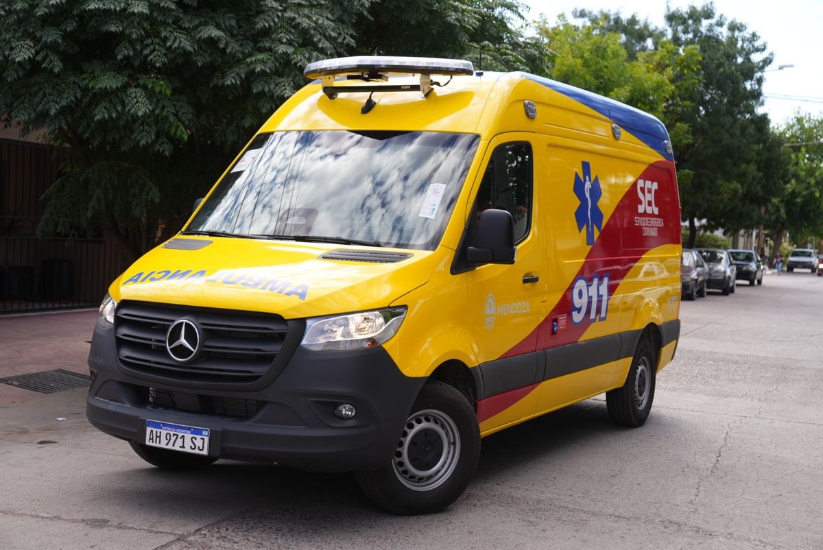 Profesionales del Servicio de Emergencias Coordinado (SEC) atendieron a las víctimas en el lugar y lograron reanimarlas antes del traslado. Profesionales del Servicio de Emergencias Coordinado (SEC) atendieron a las víctimas en el lugar y lograron reanimarlas antes del traslado.