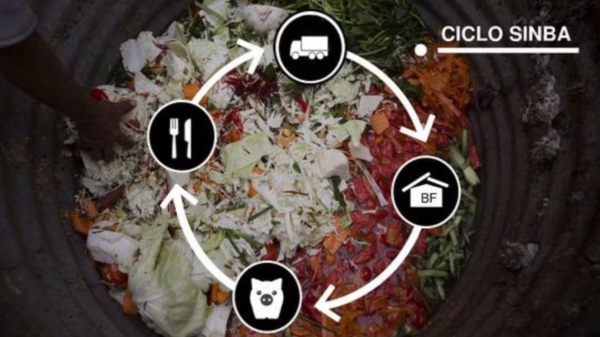 E﻿n Perú se recupera apenas el 5% de toda la basura. (Foto: Sinba)