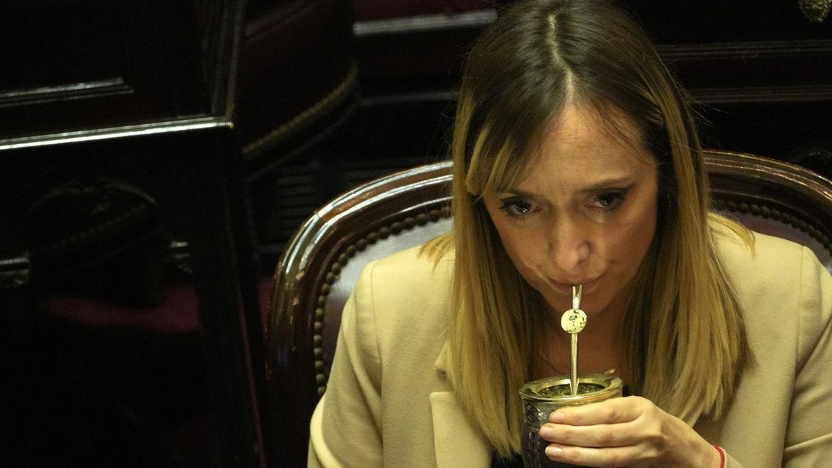 Anabel Fernández Sagasti (PJ), senadora mendocina. Anabel Fernández Sagasti (PJ), senadora mendocina.